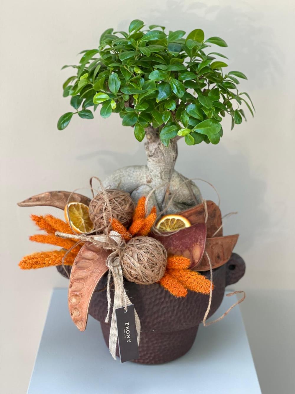 Jumbo Orange Bonsai Ağacı